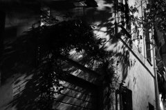 Rome-Black-and-White-7