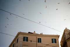 Rome-Kodak-Gold-2