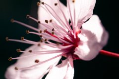 Spring-2-2