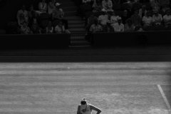 Wimbledon-2025-3